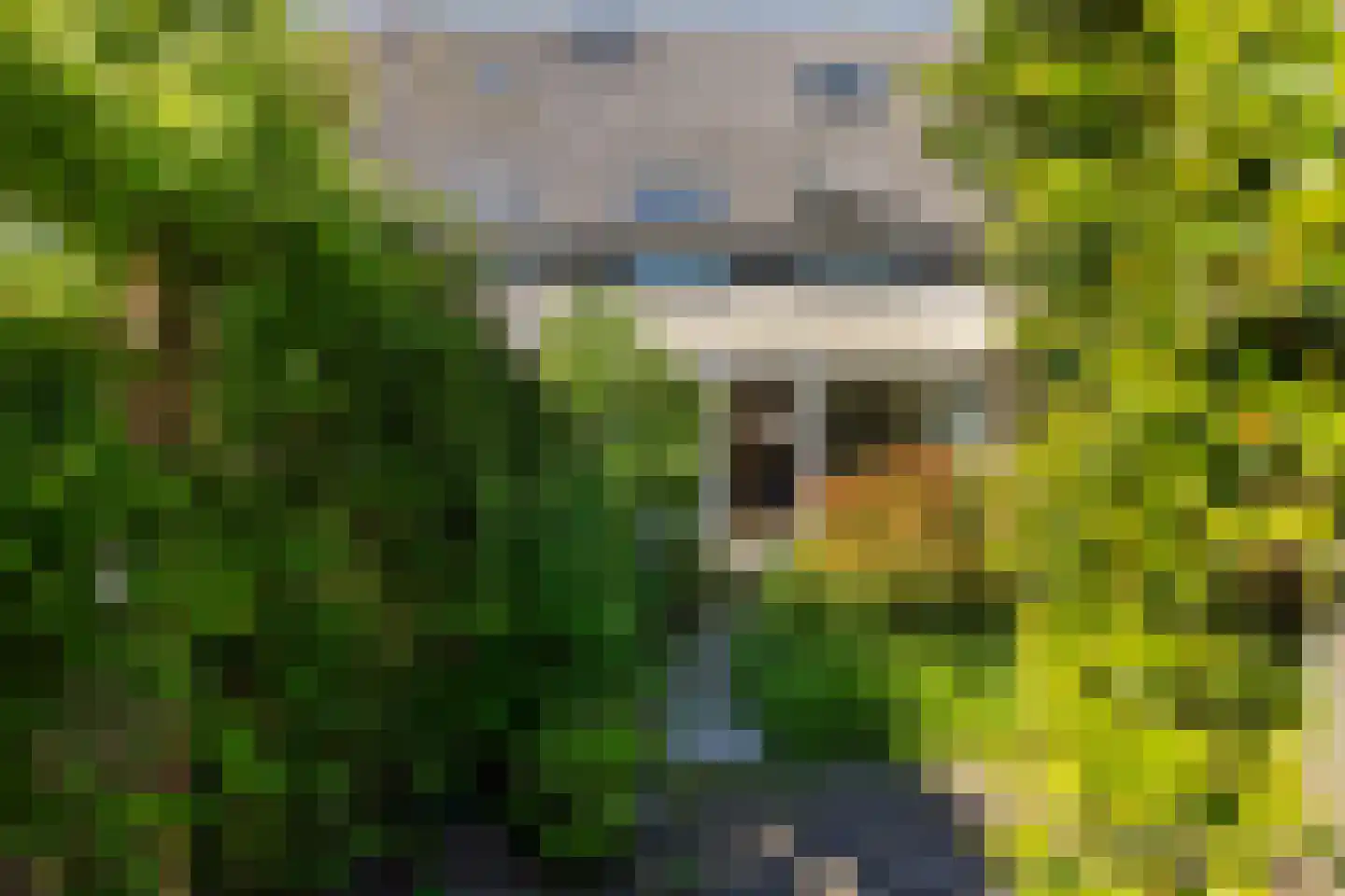 Prins Hendriklaan 24 Den Hoorn thumbnail 19