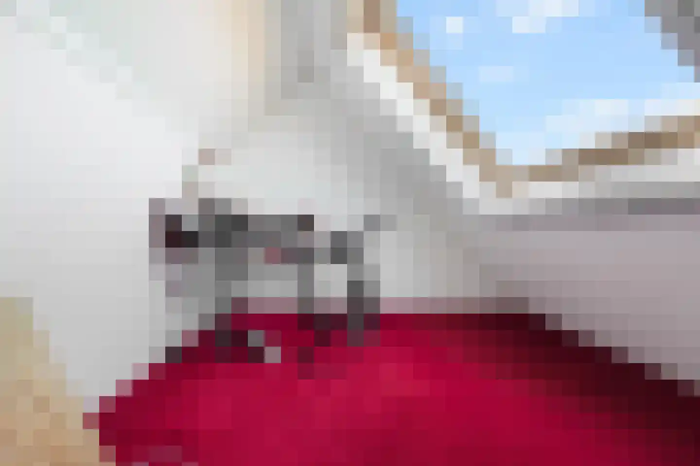 Prins Hendriklaan 24 Den Hoorn thumbnail 43
