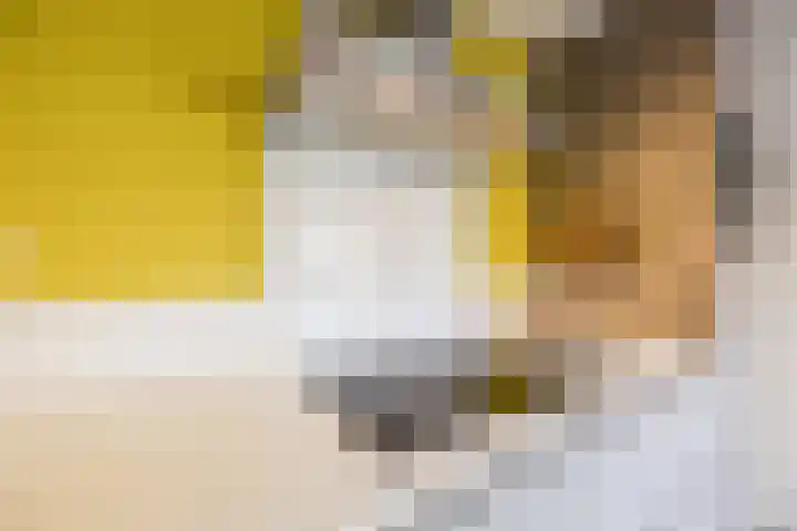 Prins Hendriklaan 26 Best thumbnail 17