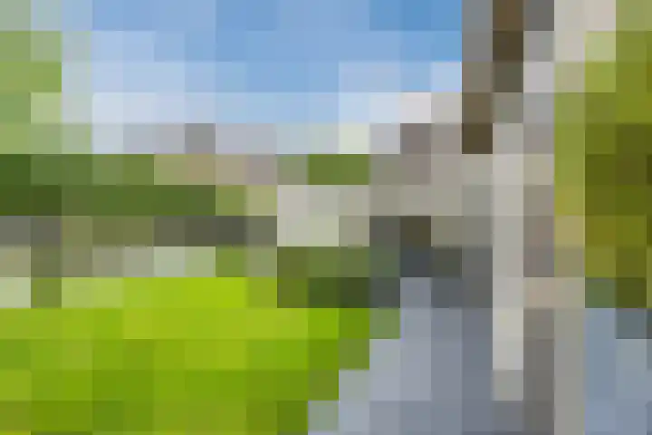 Prins Hendriklaan 26 Best thumbnail 34
