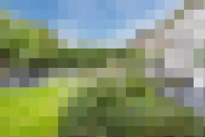 Prins Hendriklaan 26 Best thumbnail 37