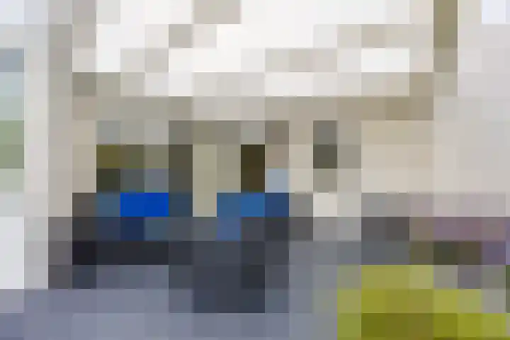 Prins Hendriklaan 26 Best thumbnail 39