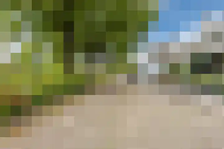 Prins Hendriklaan 26 Best thumbnail 46