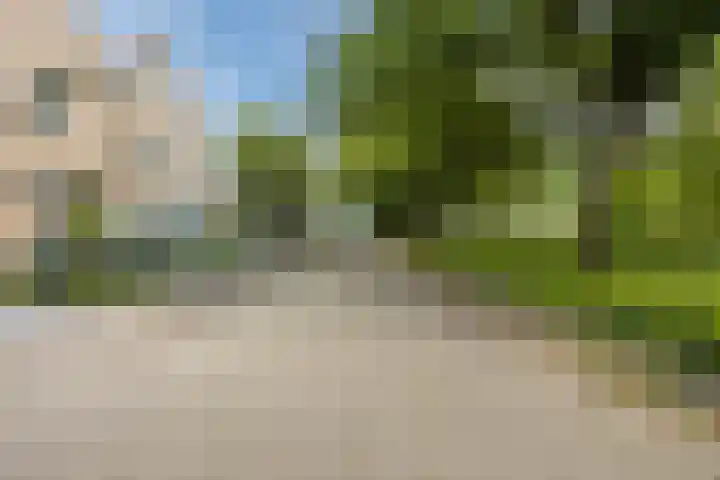 Prins Hendriklaan 26 Best thumbnail 47