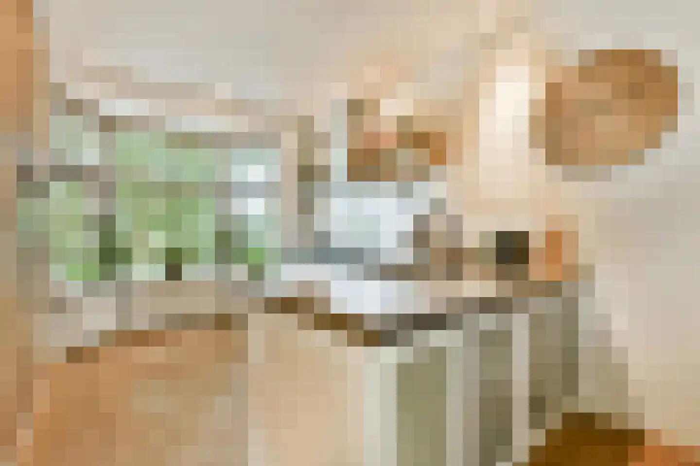 Prins Hendriklaan 27 Vlaardingen thumbnail 11
