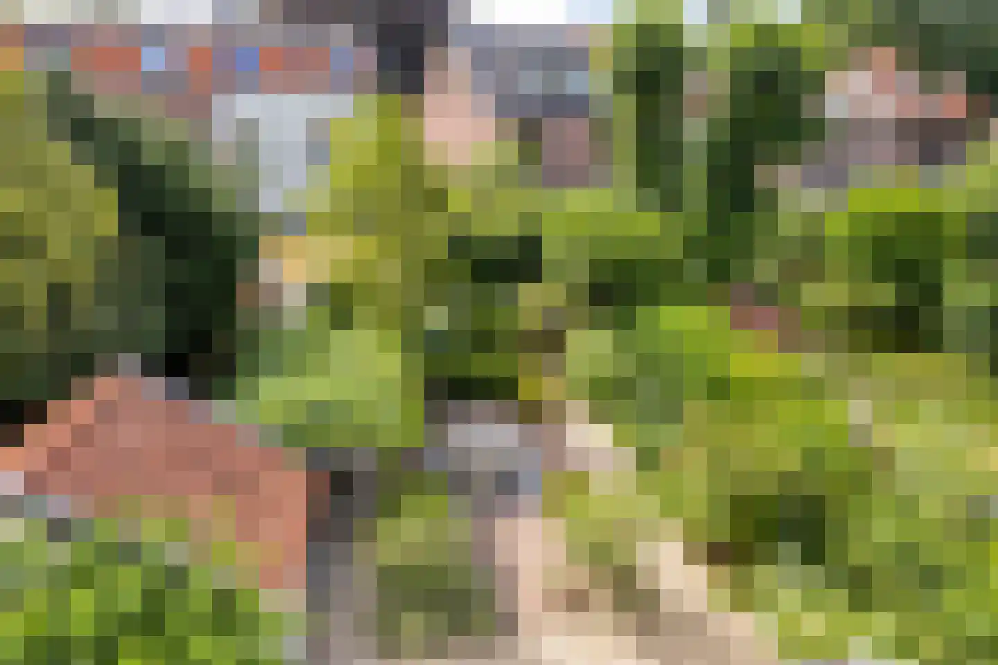 Prins Hendriklaan 28 Zeist thumbnail 41
