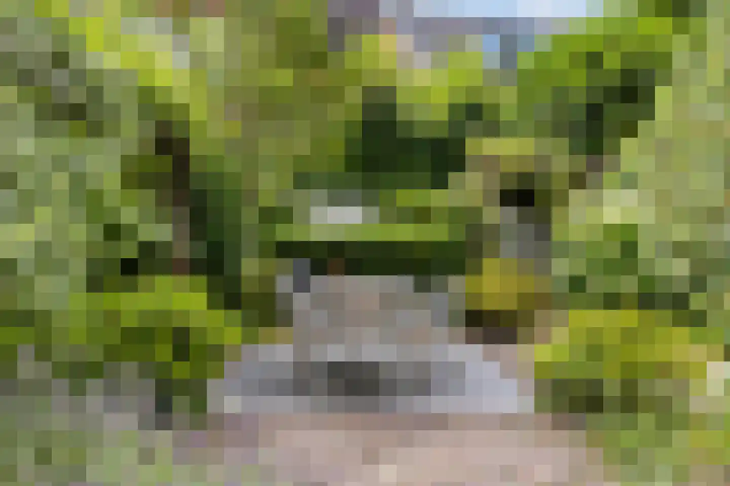 Prins Hendriklaan 28 Zeist thumbnail 45