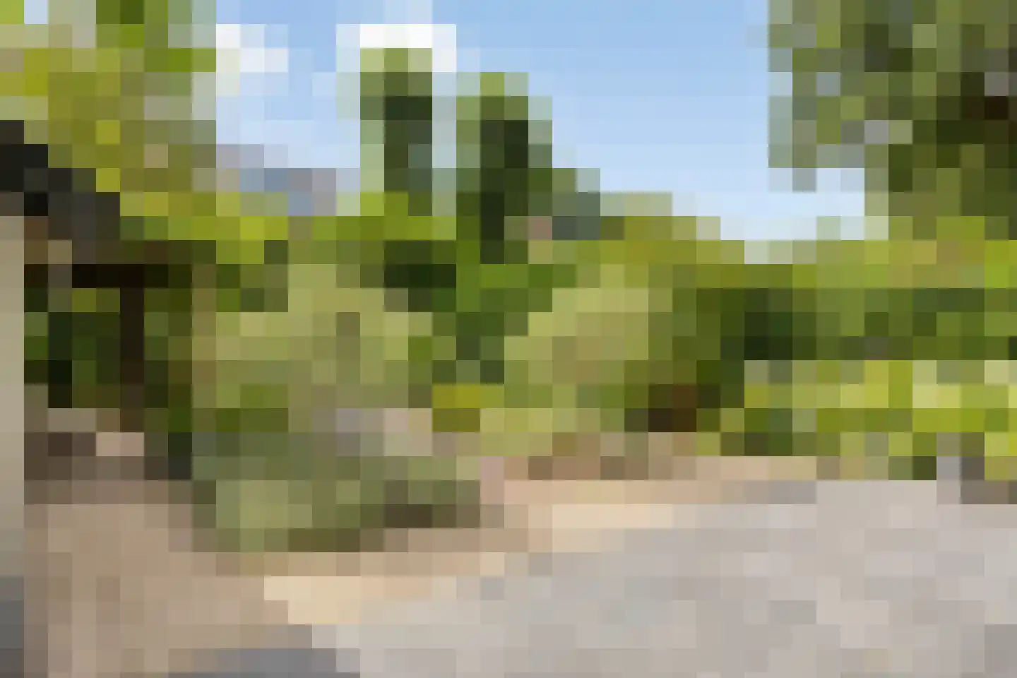 Prins Hendriklaan 28 Zeist thumbnail 46