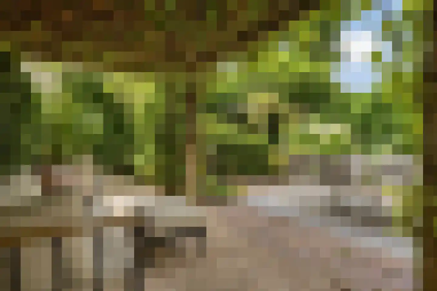 Prins Hendriklaan 28 Zeist thumbnail 47