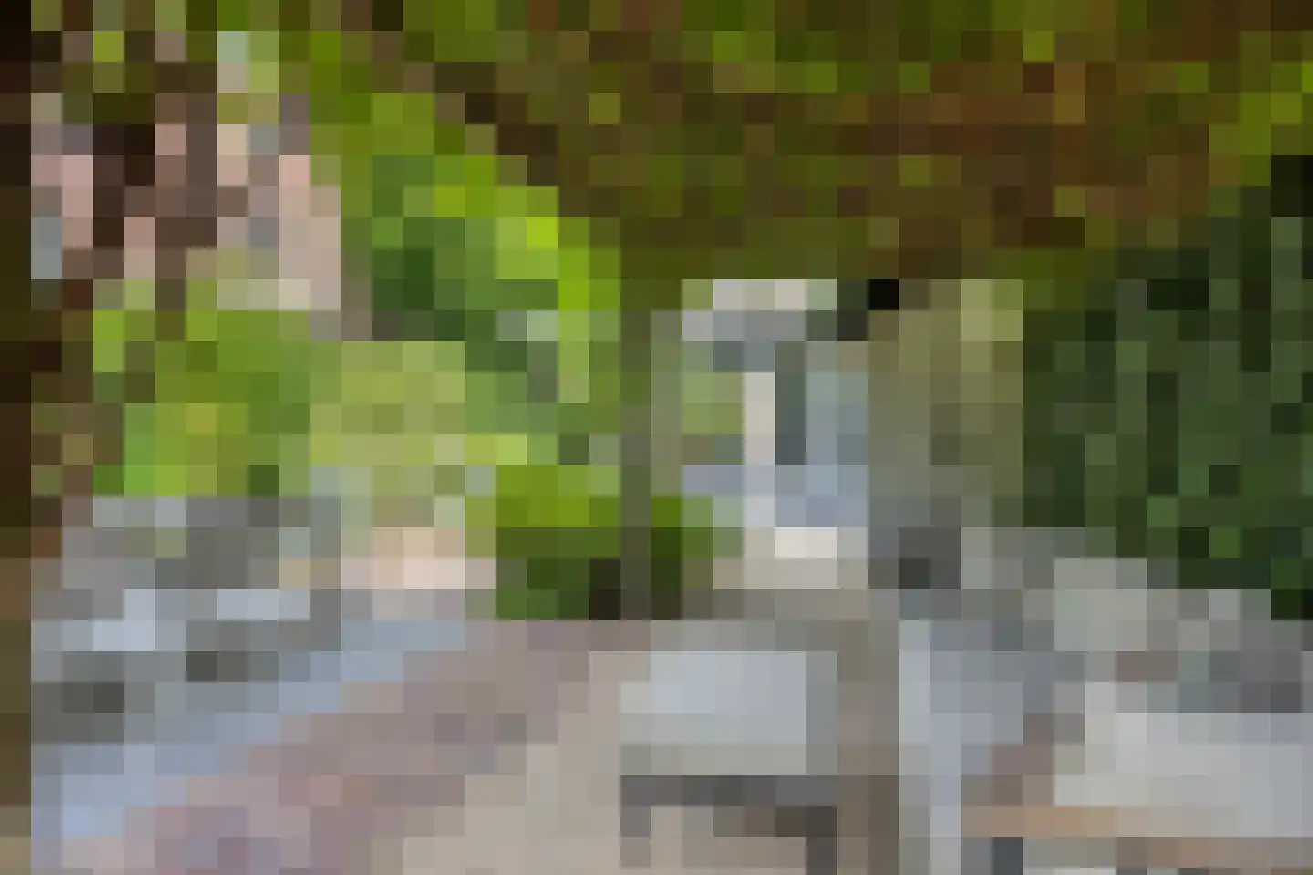 Prins Hendriklaan 28 Zeist thumbnail 48