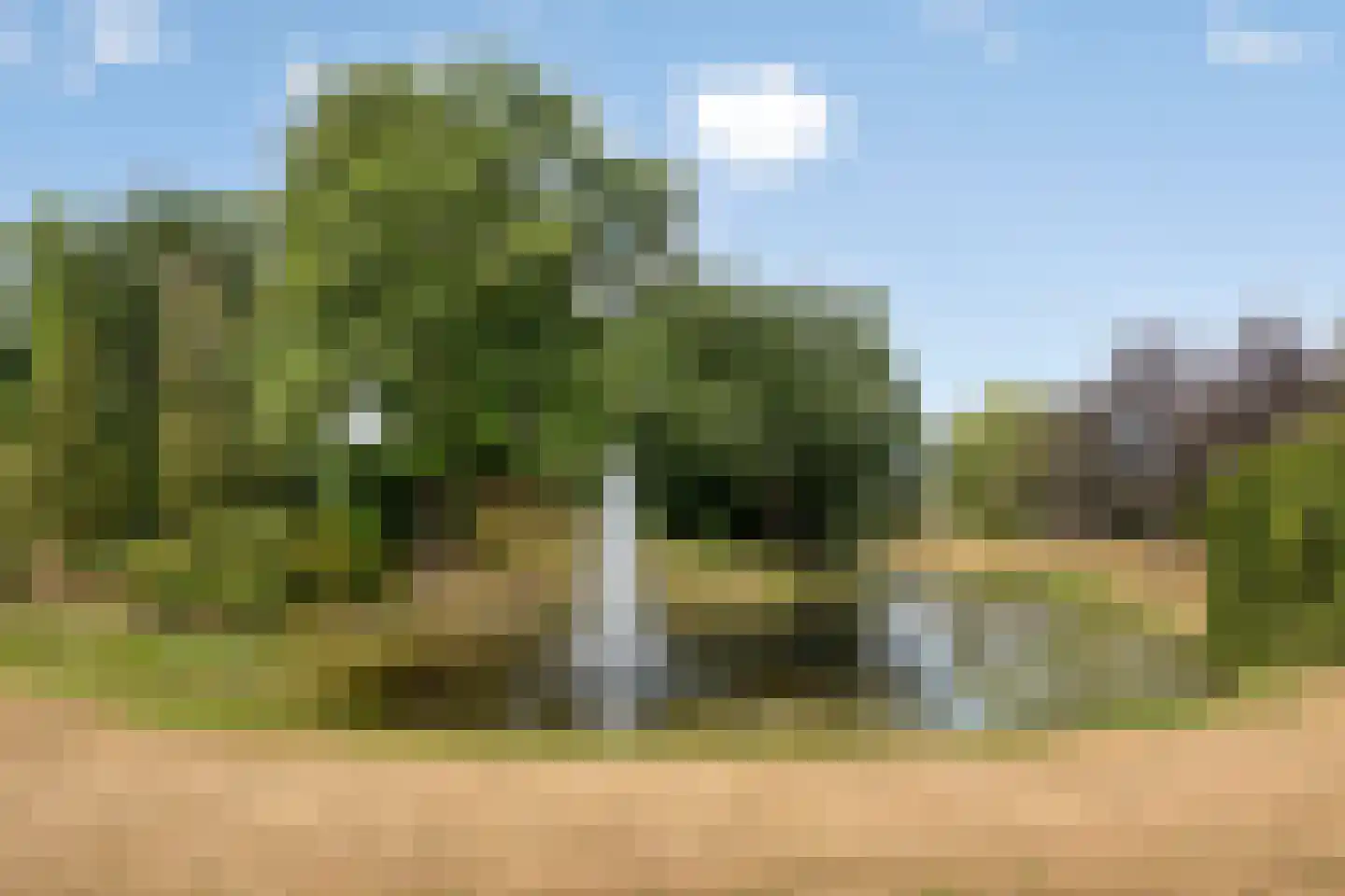 Prins Hendriklaan 28 Zeist thumbnail 59
