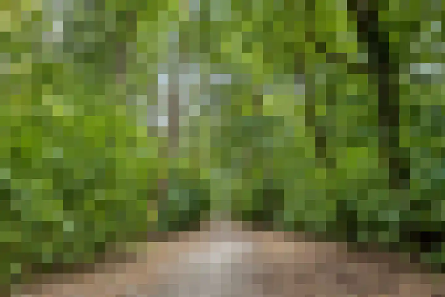 Prins Hendriklaan 28 Zeist thumbnail 61