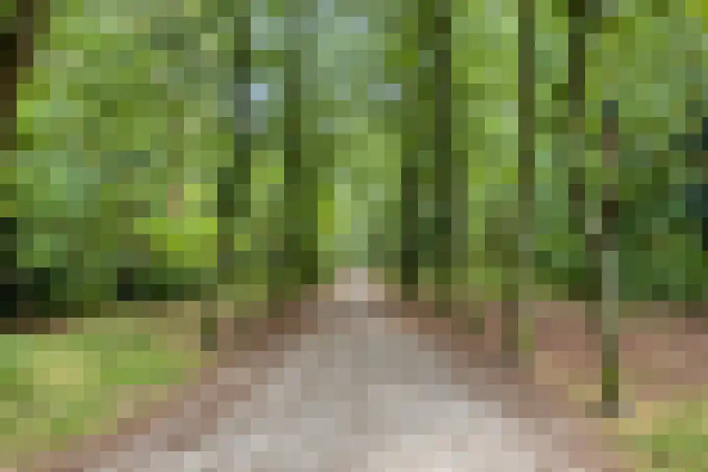 Prins Hendriklaan 28 Zeist thumbnail 62