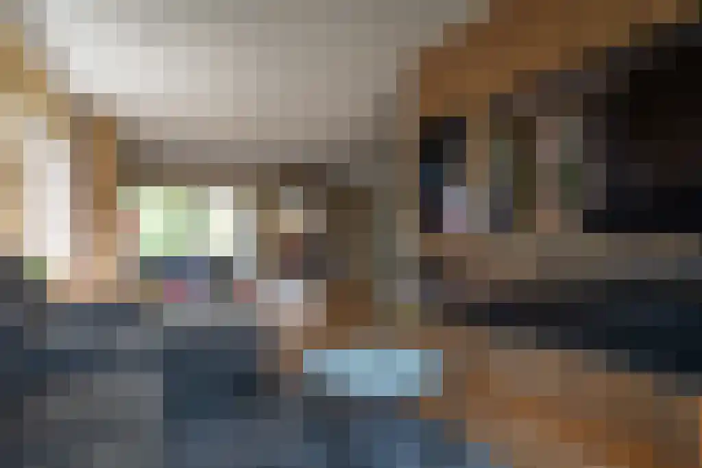 Prins Hendriklaan 29 Hooge Mierde thumbnail 7