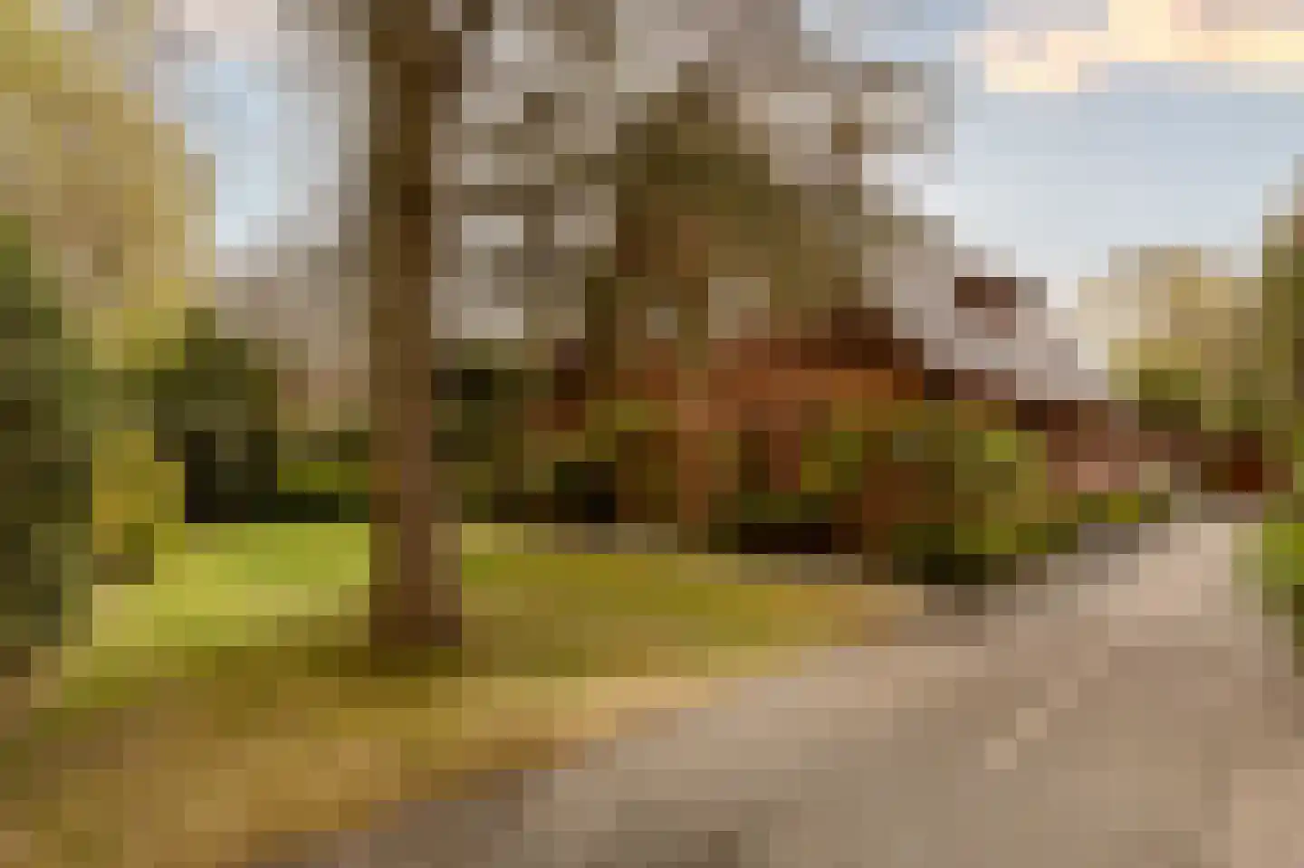 Prins Hendriklaan 3 dans Wassenaar