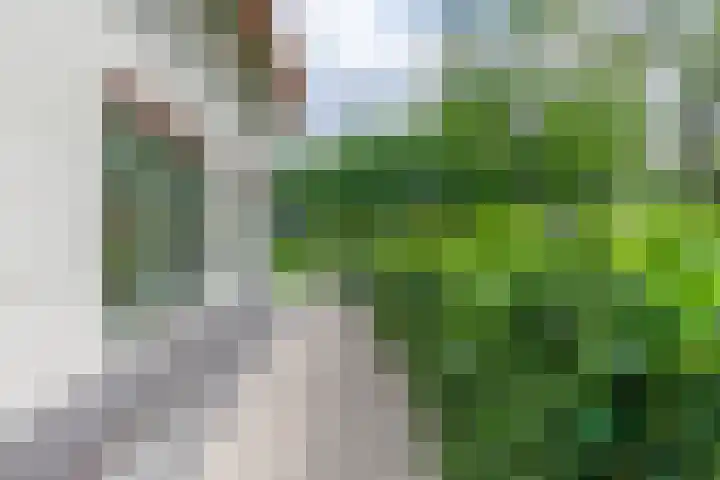 Prins Hendriklaan 3 Bilthoven thumbnail 22
