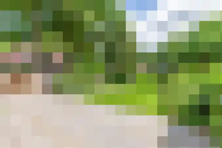 Prins Hendriklaan 3 Bilthoven thumbnail 47