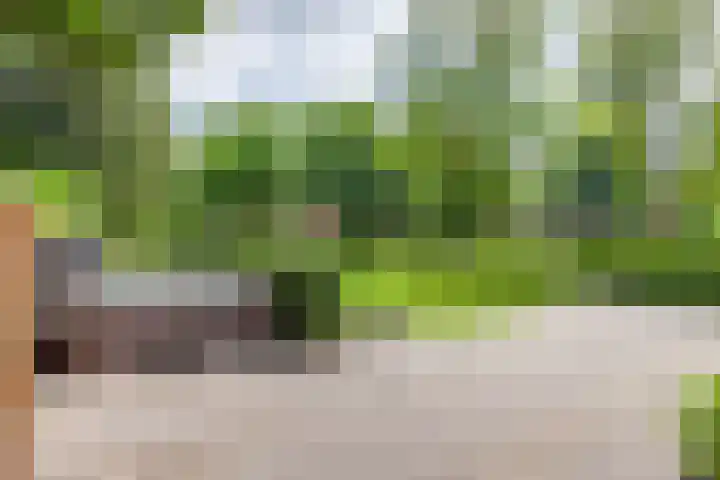 Prins Hendriklaan 3 Bilthoven thumbnail 48