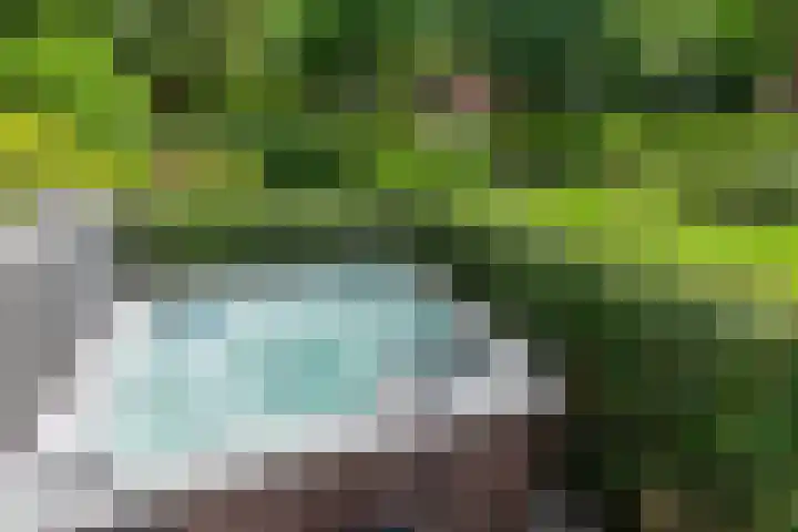 Prins Hendriklaan 3 Bilthoven thumbnail 49