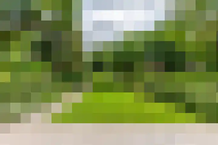 Prins Hendriklaan 3 Bilthoven thumbnail 50