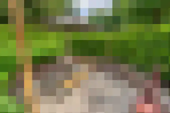Prins Hendriklaan 3 Bilthoven thumbnail 51