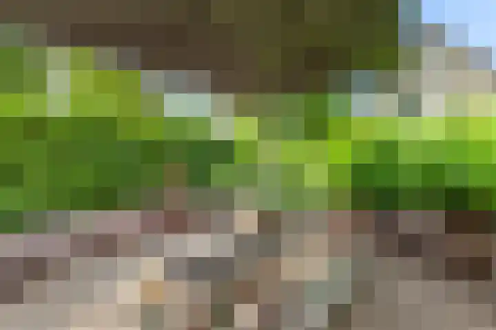 Prins Hendriklaan 3 Bilthoven thumbnail 52