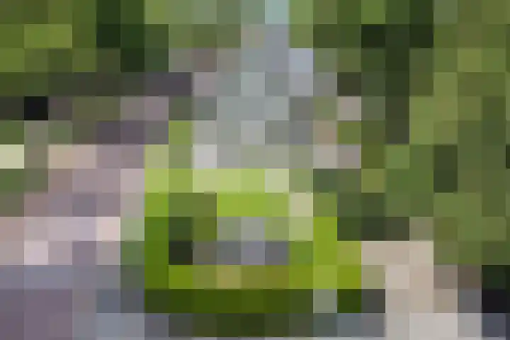 Prins Hendriklaan 3 Bilthoven thumbnail 56