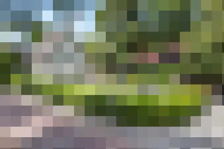 Prins Hendriklaan 3 Bilthoven thumbnail 58