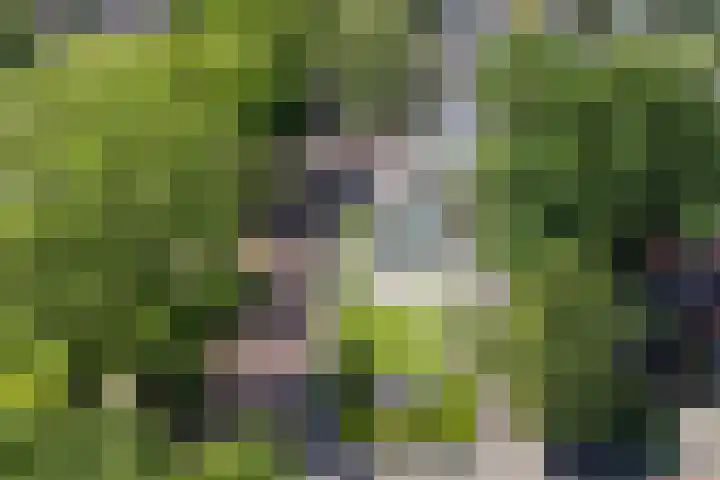 Prins Hendriklaan 3 Bilthoven thumbnail 59