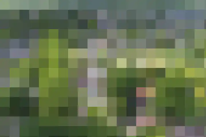 Prins Hendriklaan 3 Bilthoven thumbnail 60