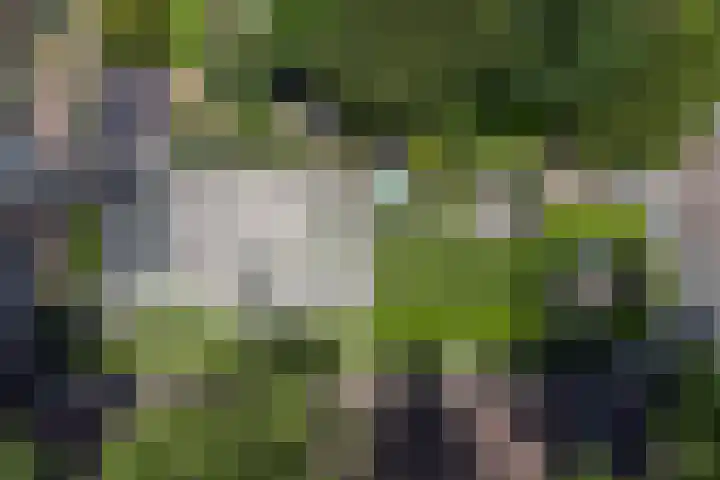Prins Hendriklaan 3 Bilthoven thumbnail 61