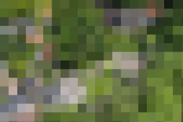 Prins Hendriklaan 3 Bilthoven thumbnail 62