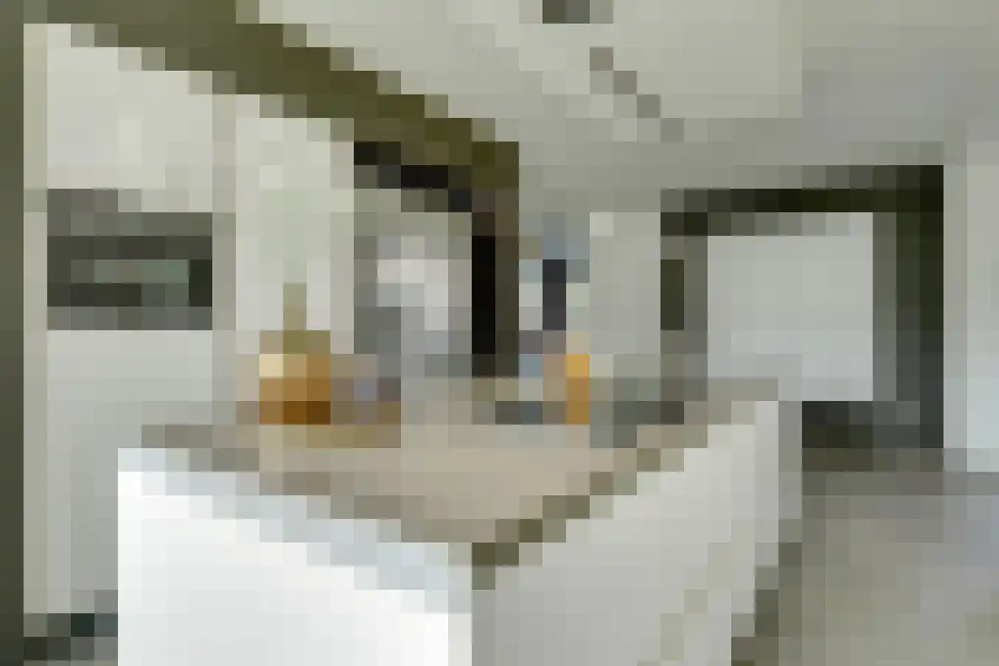 Prins Hendriklaan 3 Nieuwegein thumbnail 17