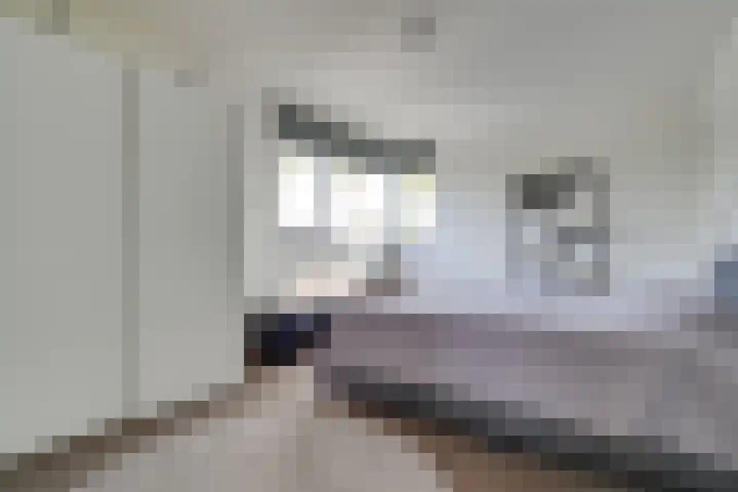 Prins Hendriklaan 3 Nieuwegein thumbnail 38