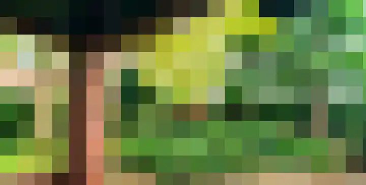 Prins Hendriklaan 3 Varsseveld thumbnail 17
