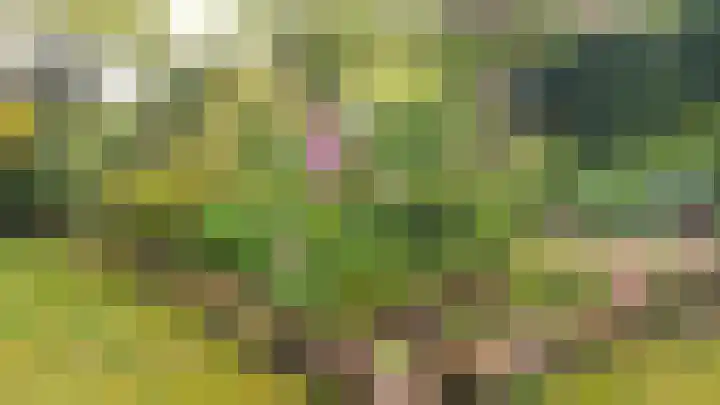 Prins Hendriklaan 3 Varsseveld thumbnail 18