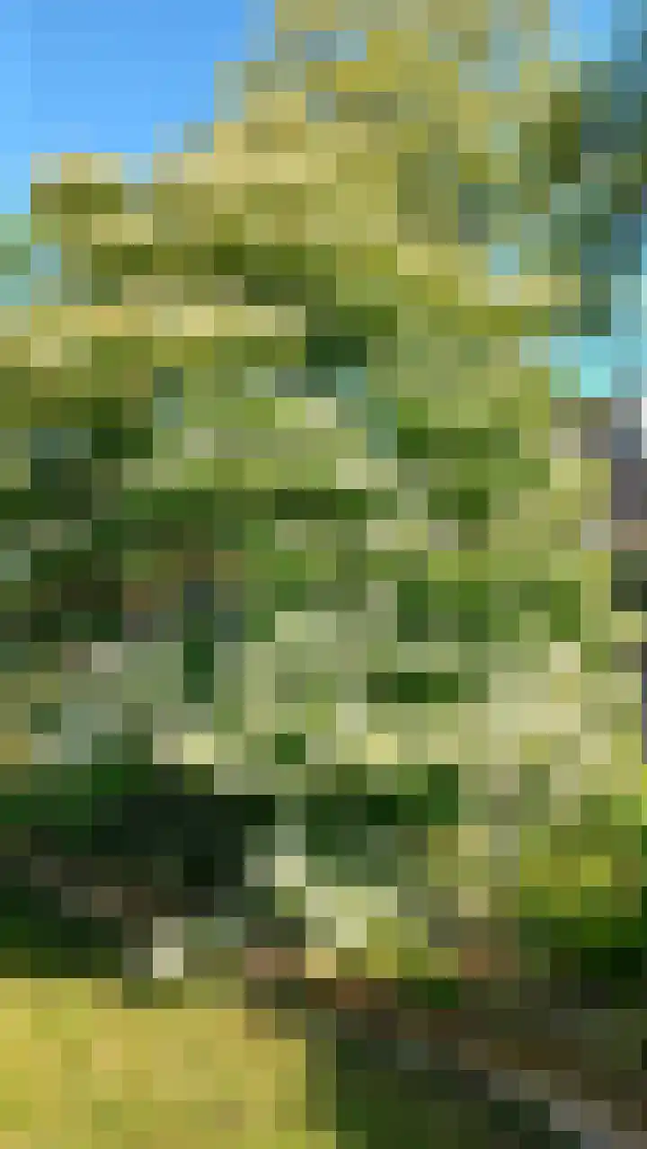 Prins Hendriklaan 3 Varsseveld thumbnail 20