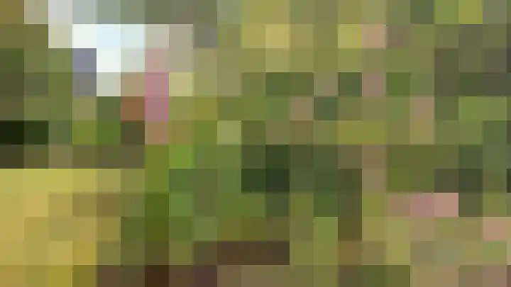 Prins Hendriklaan 3 Varsseveld thumbnail 22