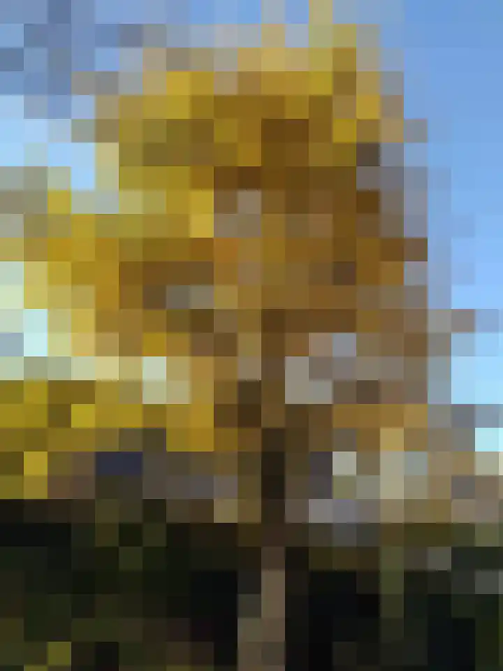 Prins Hendriklaan 3 Varsseveld thumbnail 23