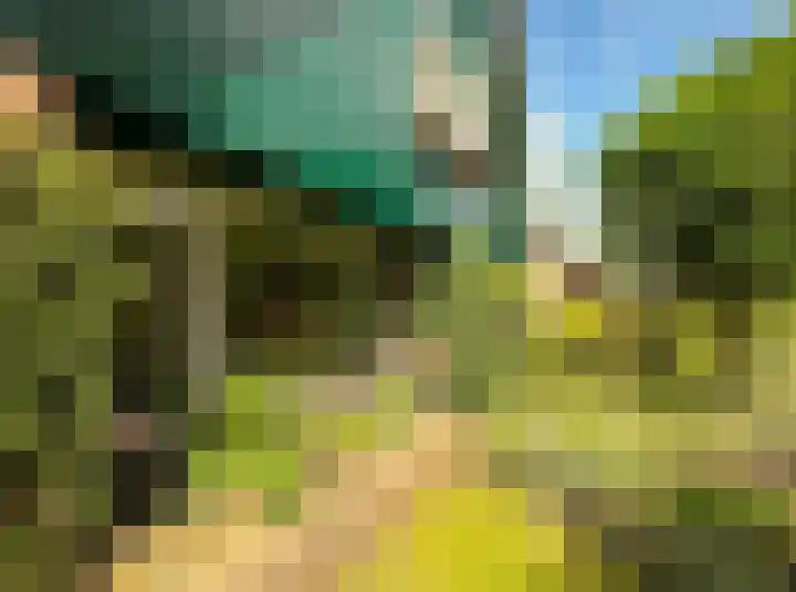 Prins Hendriklaan 3 Varsseveld thumbnail 39