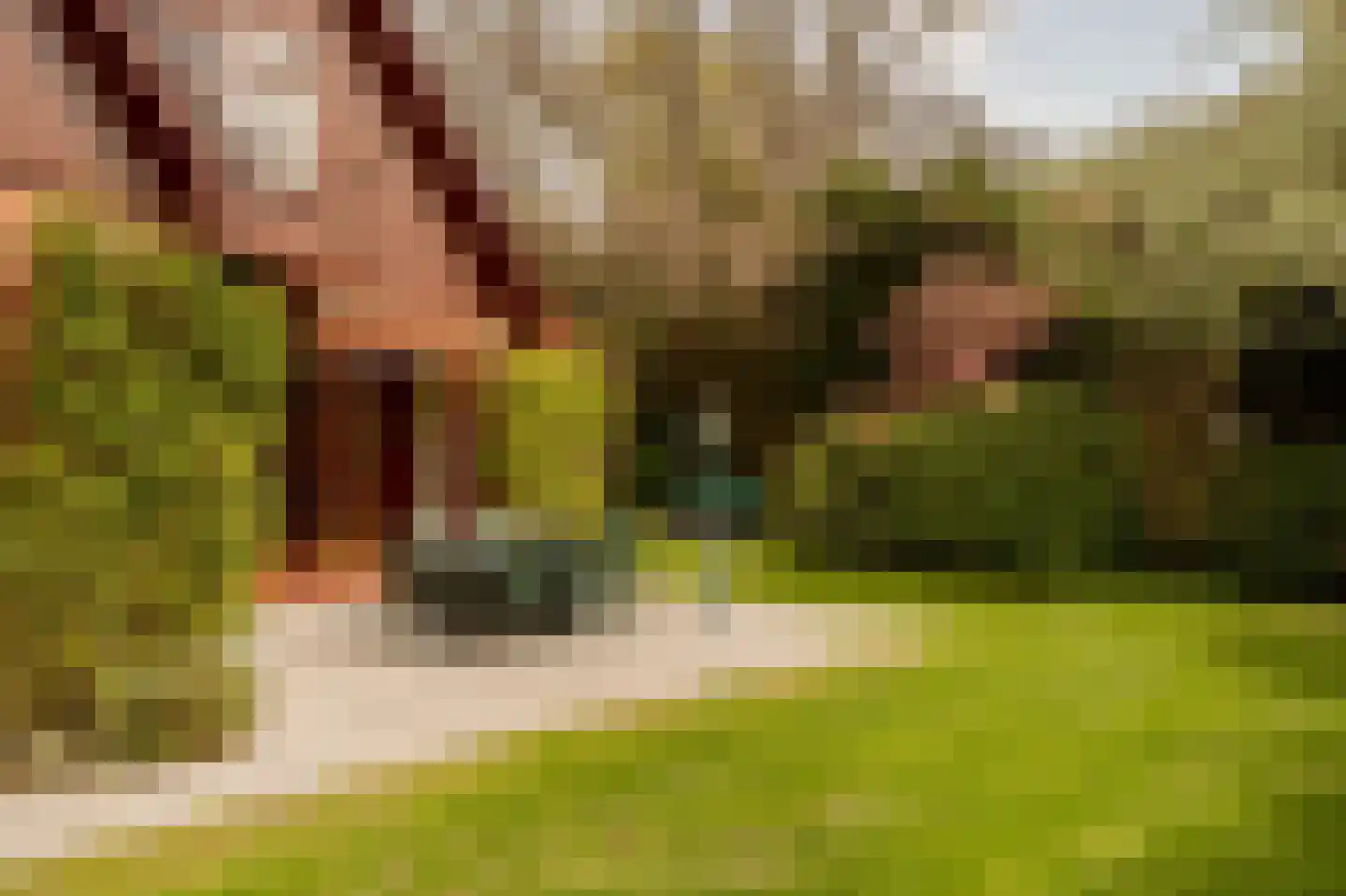 Prins Hendriklaan 3 Wassenaar thumbnail 31