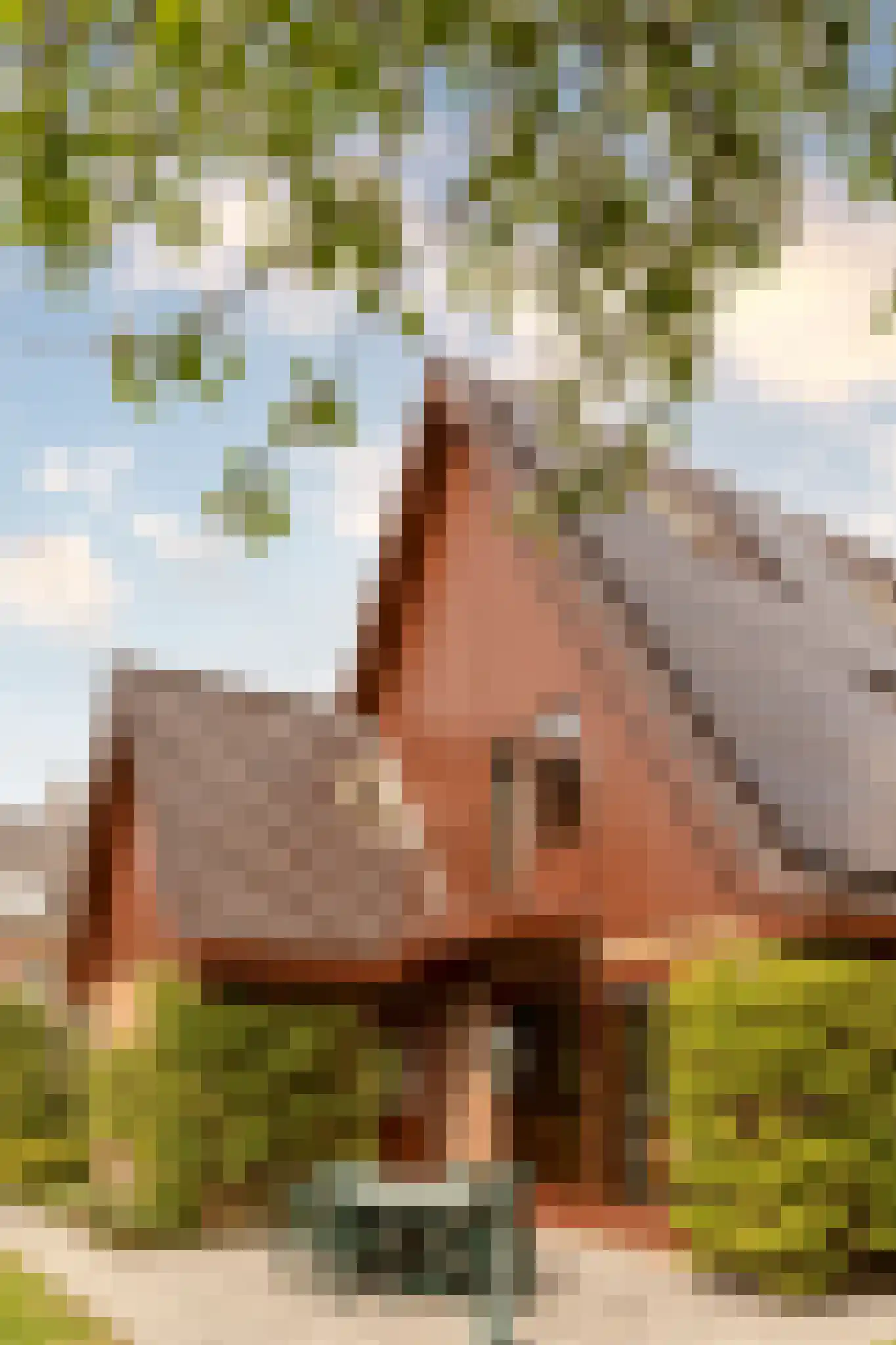 Prins Hendriklaan 3 Wassenaar thumbnail 32