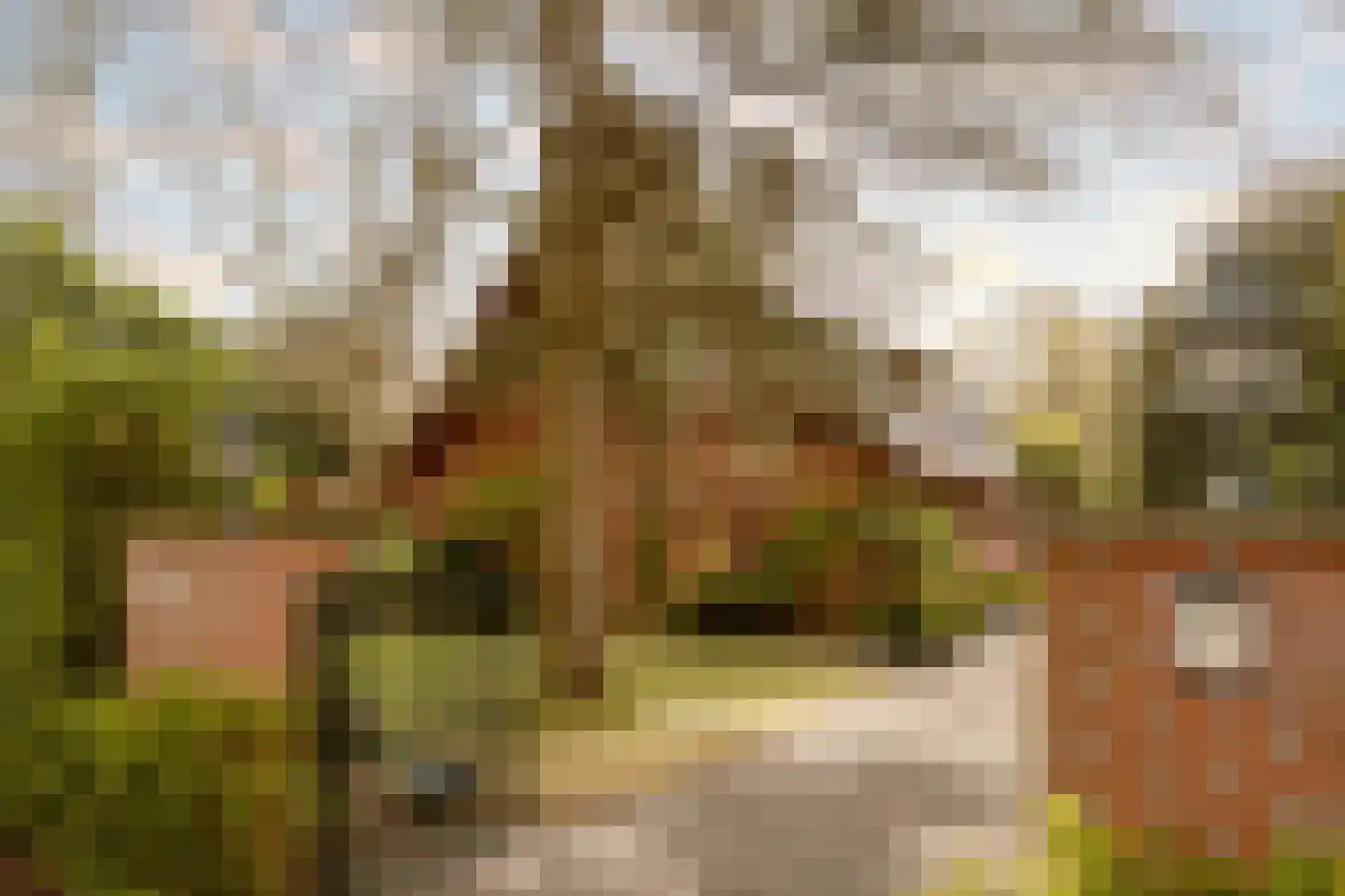 Prins Hendriklaan 3 Wassenaar thumbnail 4