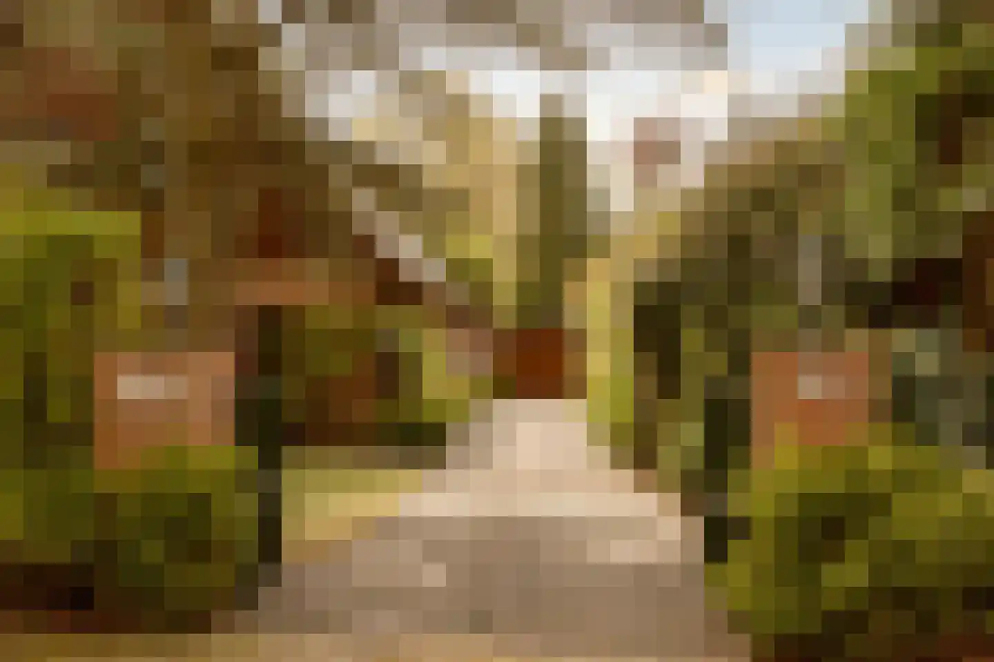 Prins Hendriklaan 3 Wassenaar thumbnail 5