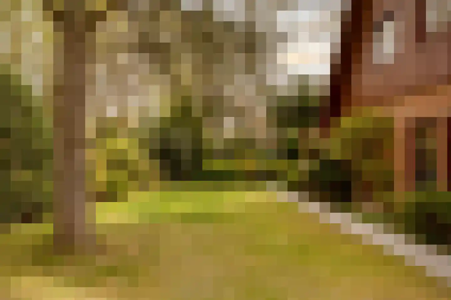 Prins Hendriklaan 3 Wassenaar thumbnail 6
