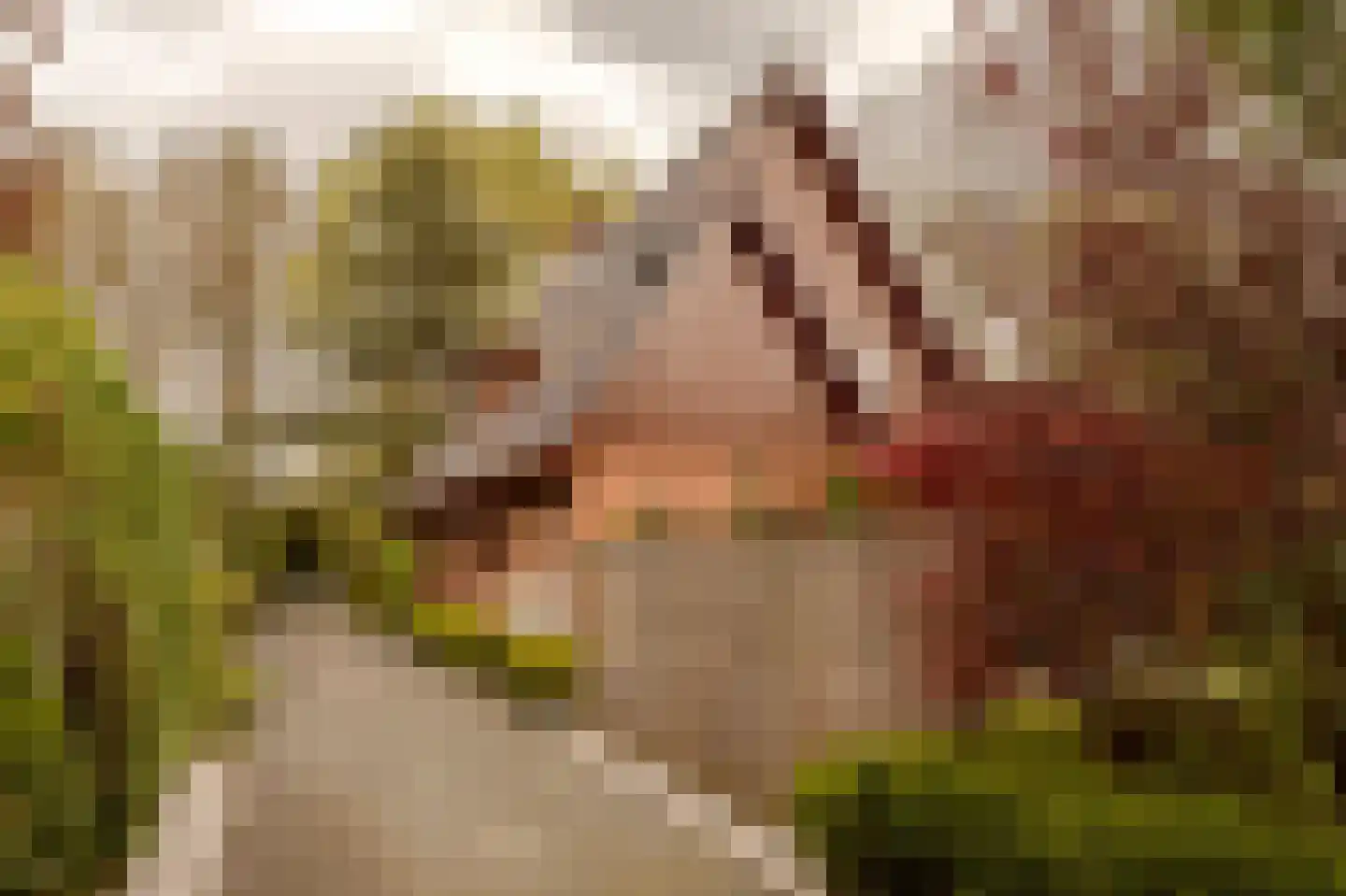Prins Hendriklaan 3 Wassenaar thumbnail 63