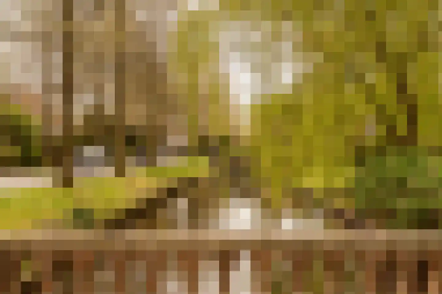 Prins Hendriklaan 3 Wassenaar thumbnail 68
