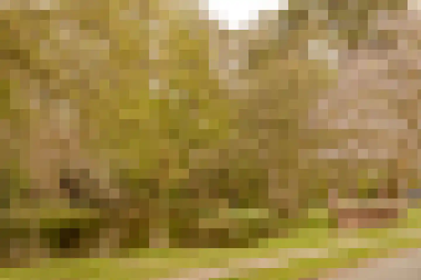 Prins Hendriklaan 3 Wassenaar thumbnail 69