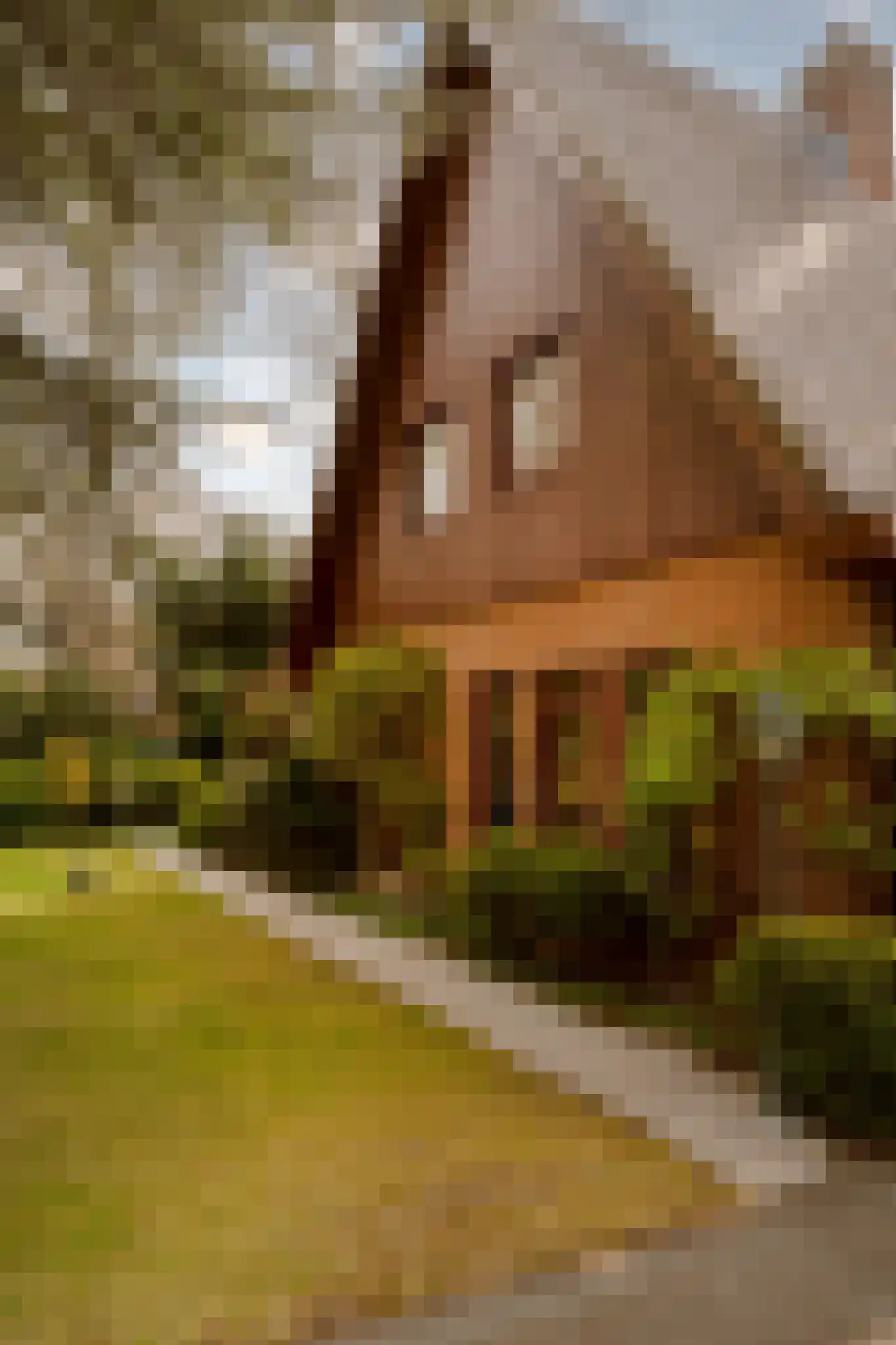 Prins Hendriklaan 3 Wassenaar thumbnail 8
