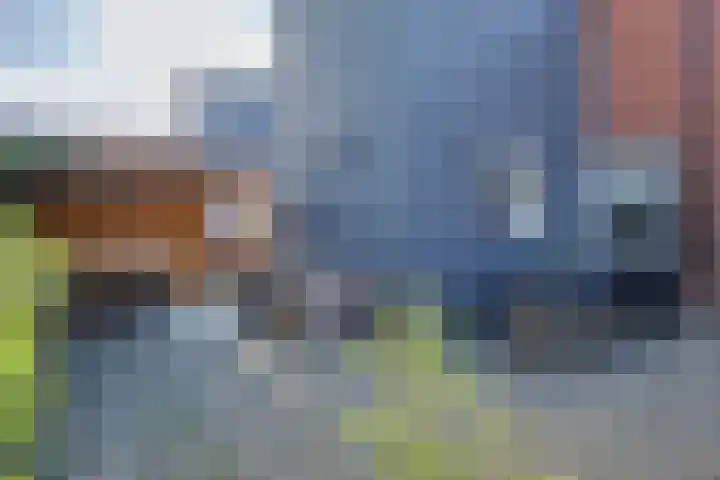 Prins Hendriklaan 3 Zuidland thumbnail 21